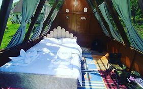 Under Stars House